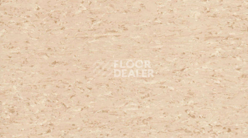 Линолеум Gerflor Mipolam Accord 0324 SAND фото 1 | FLOORDEALER